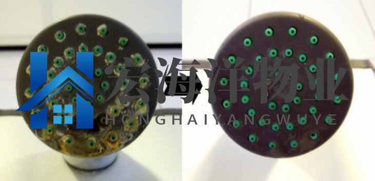 清洗淋浴喷头有困难？有了这个技巧就很容易了！